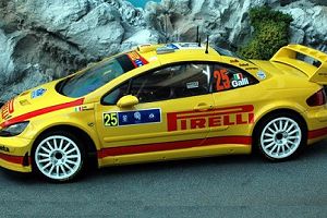 Photo de la miniature - Peugeot 309  Galli