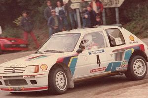 Photo de la voiture - Peugeot 205 T16  Vatanen