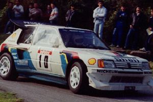 Photo de la voiture - Peugeot 205 T16  Mouton