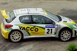Photo de la voiture - Peugeot 206 Wrc  Bengué