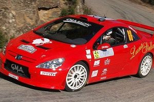 Photo de la voiture - Peugeot 307  Micheli